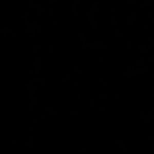 Meet your Posher, Izzy